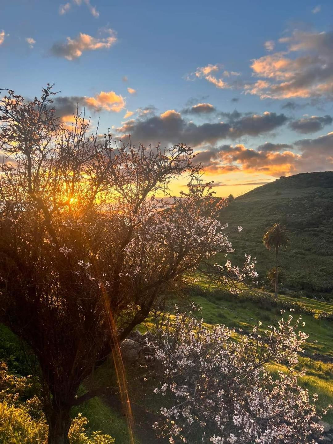 Casa Rural La Vega Alojera Exteriér fotografie